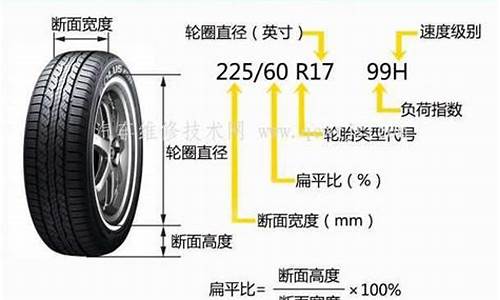 威志v2轮胎规格尺寸_威志汽车轮胎规格价格