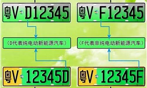 新能源车牌自编规则_新能源车牌号自编规则